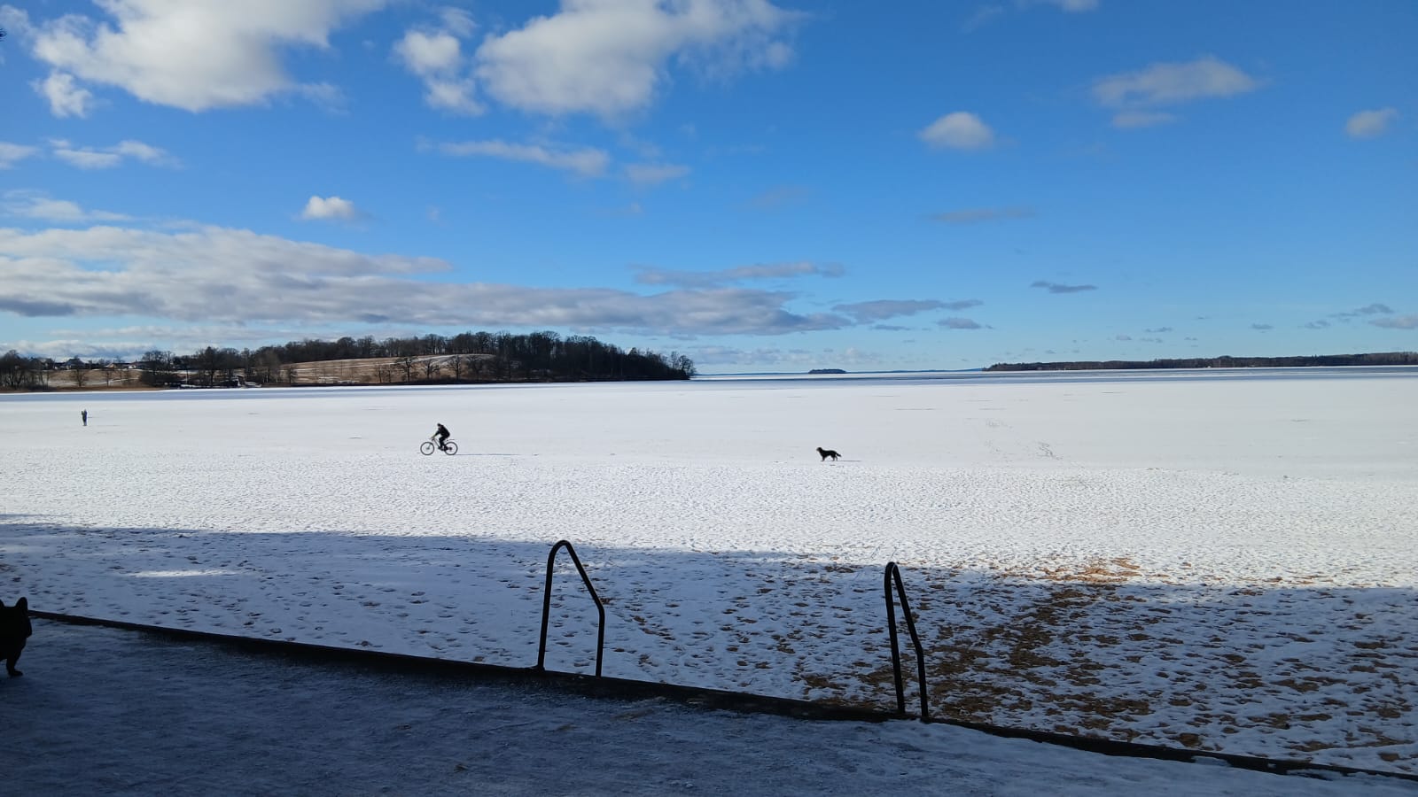 WhatsApp Image 2026 03 04 at 20.11.52 1