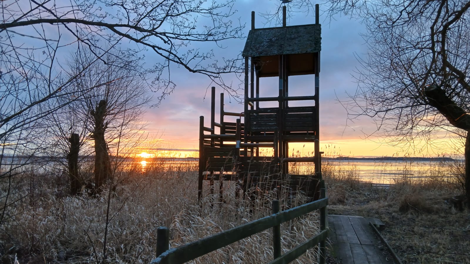 WhatsApp Image 2026 03 04 at 20.11.53 1